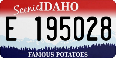 ID license plate E195028