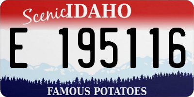 ID license plate E195116