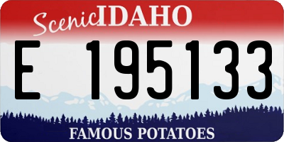 ID license plate E195133