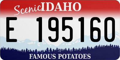 ID license plate E195160