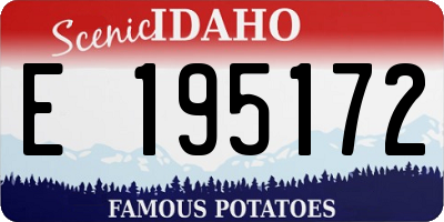 ID license plate E195172