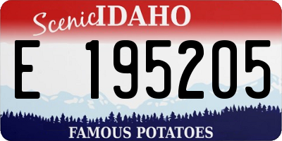 ID license plate E195205