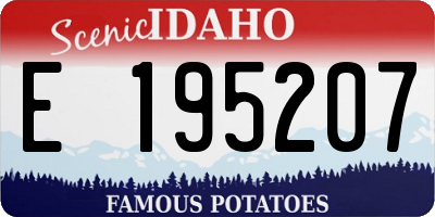 ID license plate E195207