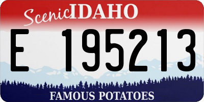 ID license plate E195213