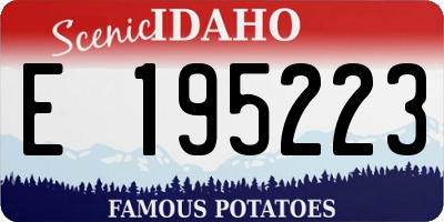 ID license plate E195223