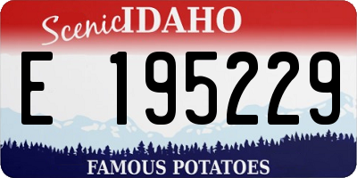 ID license plate E195229