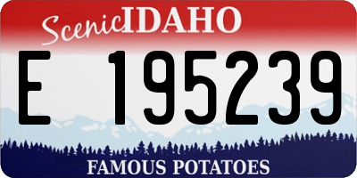 ID license plate E195239