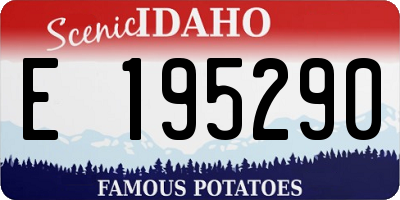 ID license plate E195290