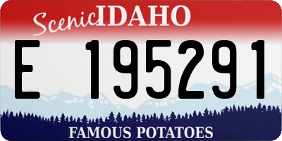 ID license plate E195291