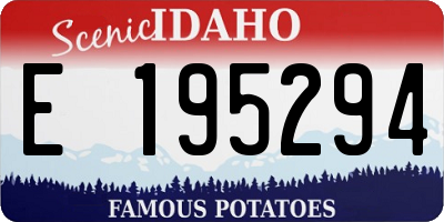 ID license plate E195294
