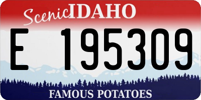 ID license plate E195309