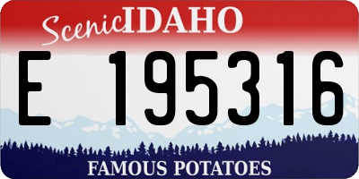 ID license plate E195316