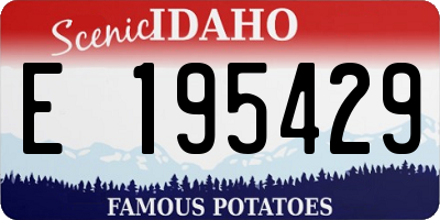 ID license plate E195429