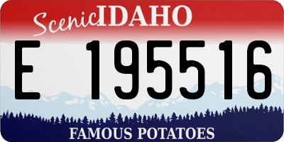 ID license plate E195516