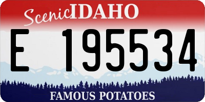 ID license plate E195534