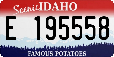 ID license plate E195558