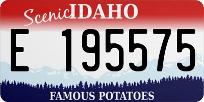 ID license plate E195575