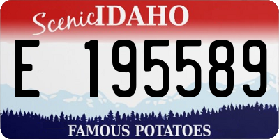 ID license plate E195589
