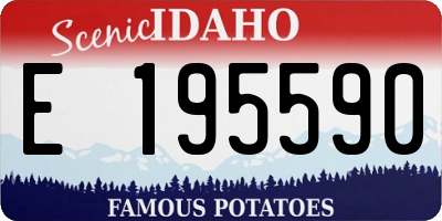 ID license plate E195590