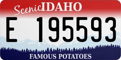 ID license plate E195593