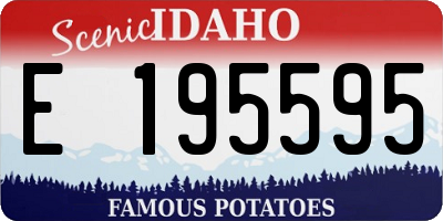 ID license plate E195595