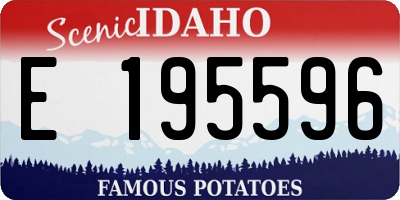 ID license plate E195596