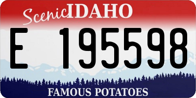 ID license plate E195598