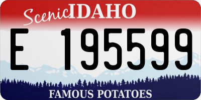 ID license plate E195599