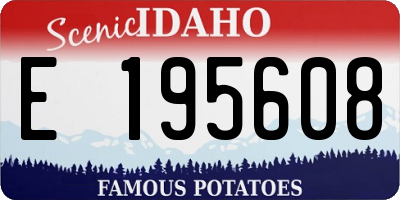 ID license plate E195608