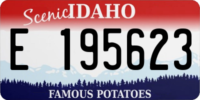 ID license plate E195623