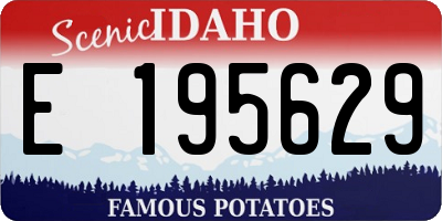 ID license plate E195629