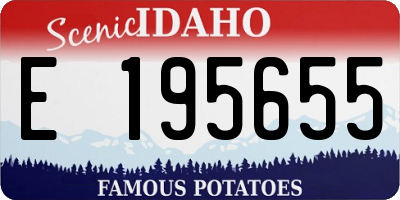 ID license plate E195655