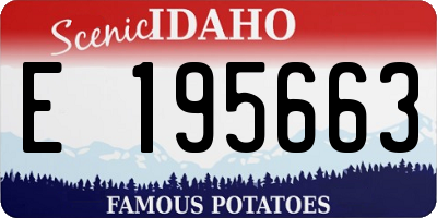 ID license plate E195663