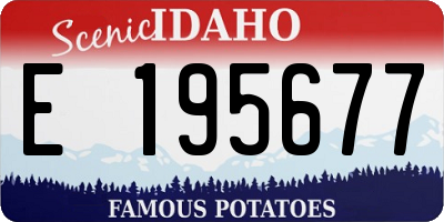ID license plate E195677