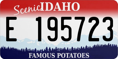 ID license plate E195723
