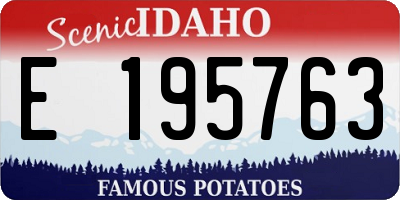 ID license plate E195763