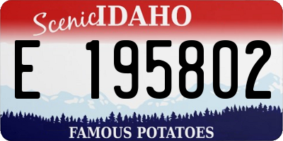 ID license plate E195802