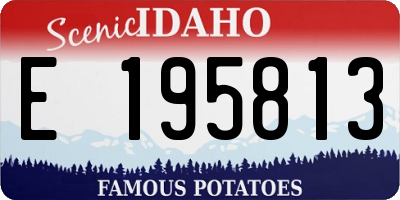 ID license plate E195813