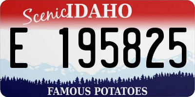 ID license plate E195825