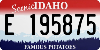 ID license plate E195875