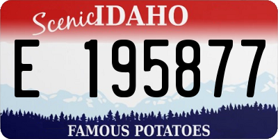 ID license plate E195877