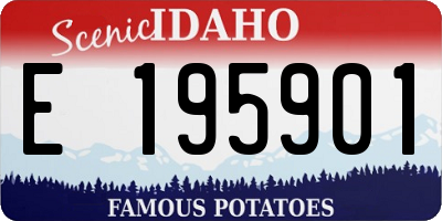 ID license plate E195901