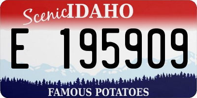 ID license plate E195909