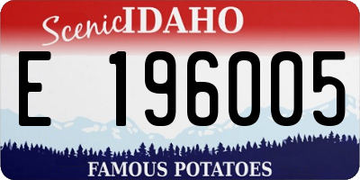ID license plate E196005