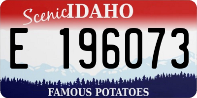 ID license plate E196073
