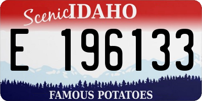ID license plate E196133
