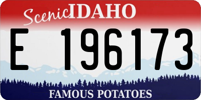 ID license plate E196173