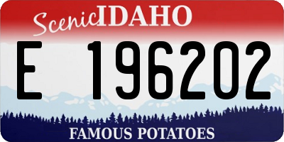 ID license plate E196202