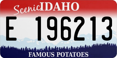 ID license plate E196213