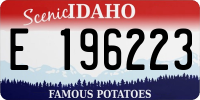 ID license plate E196223